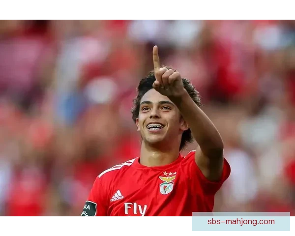 2025夏季转会本菲卡签下巴西17岁天才新星备受关注